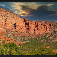 Collection image for: Pure Landscapes, Earth and Sea and Wildlife