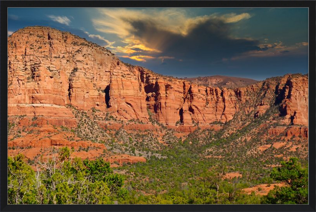 Pure Landscapes, Earth and Sea and Wildlife