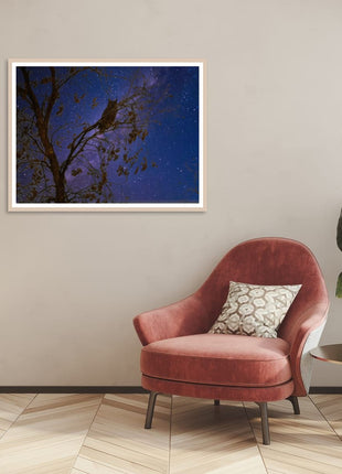 Night Watcher