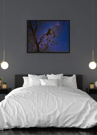 Night Watcher