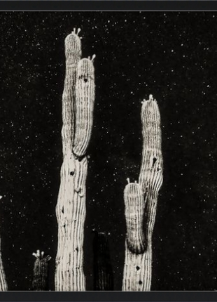 Desert Sentinels