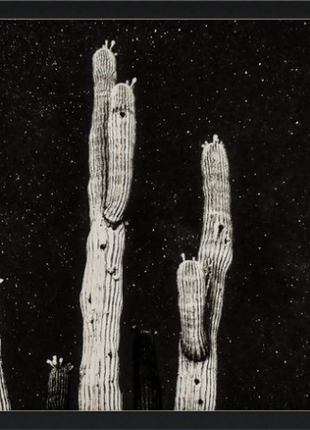 Desert Sentinels
