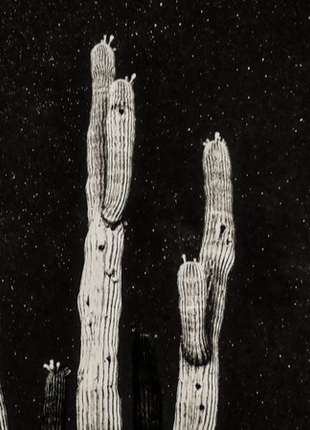 Desert Sentinels