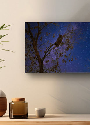 Night Watcher