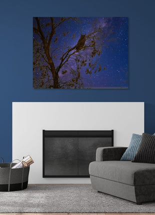 Night Watcher