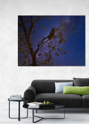 Night Watcher