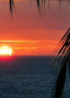26 11/16
