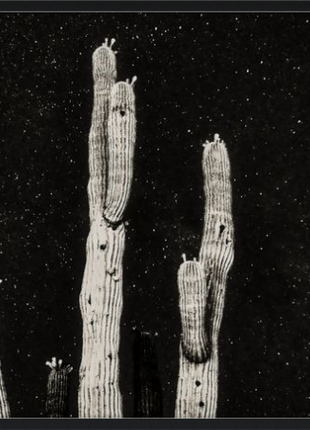 Desert Sentinels