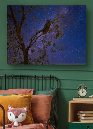 Night Watcher