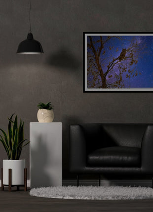 Night Watcher